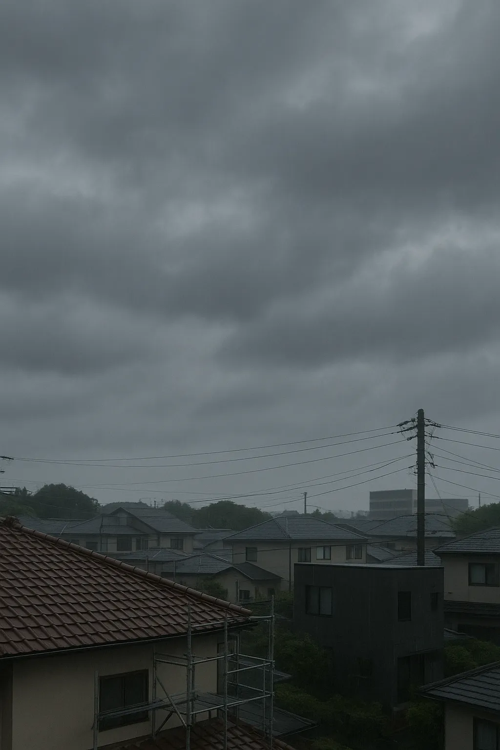 雨続きの一週間...